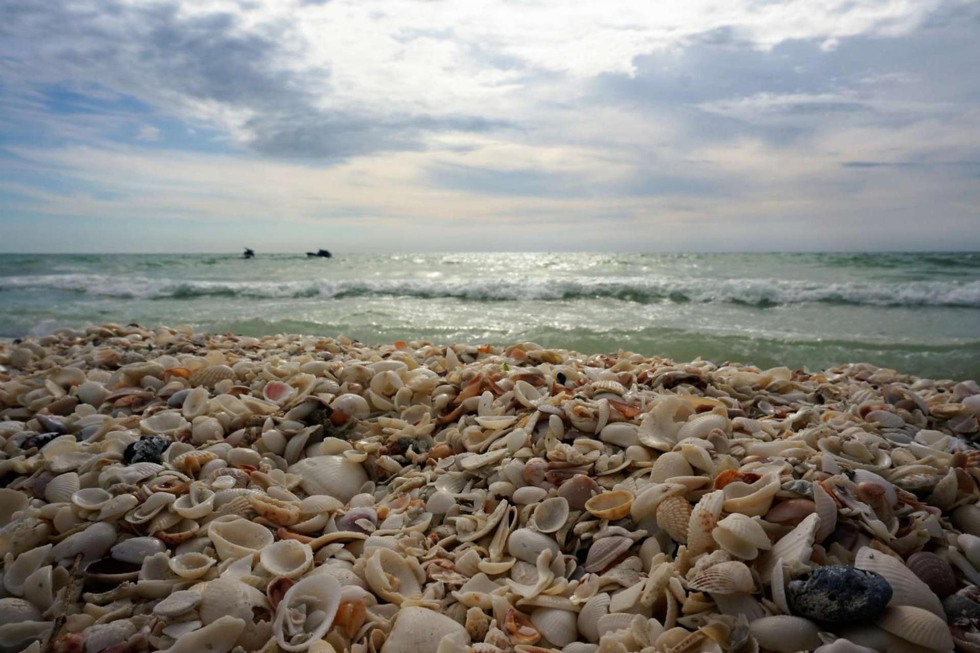 Somerset #209 Marco Island Esterno foto